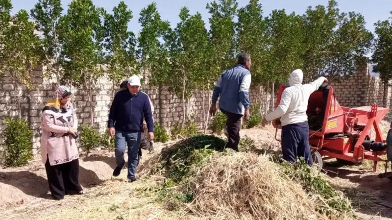 بحوث الصحراء تبتكر حلولًا لتوفير أعلاف بديلة من المخلفات لمواجهة الملوحة والجفاف بجنوب سيناء