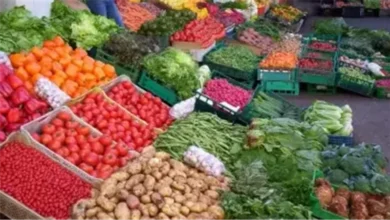 تباين أسعار الخضروات والفاكهة في الأسواق وارتفاع ملحوظ للكوسة والخيار
