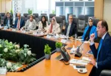 وزير المالية: القطاع الخاص أثبت نجاح الرهان ودفع بقوة عجلة الاقتصاد المصري