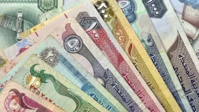 استقرار أسعار الدولار والدرهم الإماراتي وتباين طفيف في الدينار الكويتي ببنوك مصر