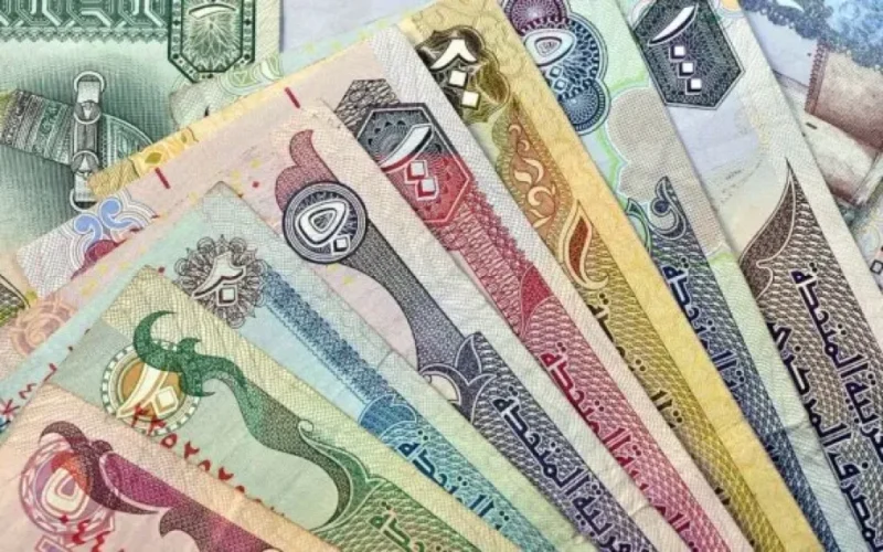 استقرار أسعار الدولار والدرهم الإماراتي وتباين طفيف في الدينار الكويتي ببنوك مصر