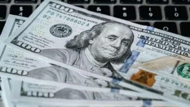 استقرار سعر الدولار أمام الجنيه في البنوك خلال إجازة المولد النبوي