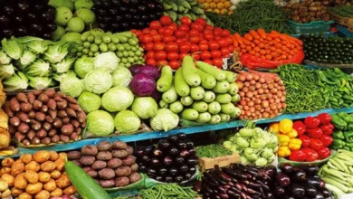 الطماطم تسجل 13 جنيها.. أسعار الخضروات والفاكهة اليوم في سوق العبور