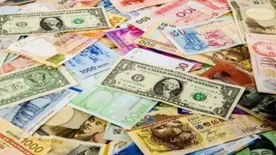 أسعار الحديد والأسمنت في الأسواق اليوم الأحد 14 سبتمبر 2025