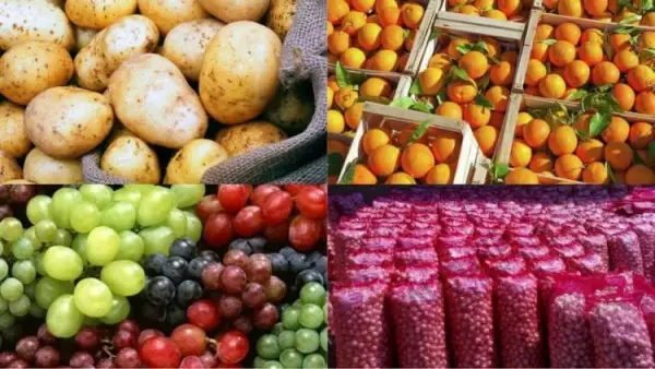 سلامة الغذاء تعلن تصدير 165 ألف طن منتجات غذائية والدول العربية في الصدارة