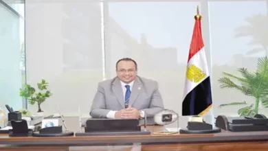 النخبة لوساطة التأمين تراهن على التكنولوجيا لتوسيع نشاطها في السوق المصرية