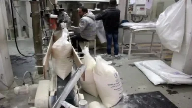 مطاحن ومخابز الإسكندرية تحقق 54.1 مليون جنيه أرباحًا سنوية رغم تراجع طفيف بنسبة 2.4%