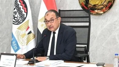 وزير قطاع الأعمال يبحث مع القيادات التنفيذية تطوير شركات الأدوية والمستلزمات الطبية