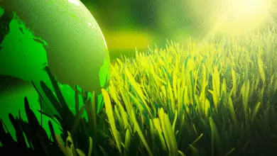 اتحاد شركات التأمين يسلط الضوء على دور التأمين الأخضر في تعزيز الاستدامة