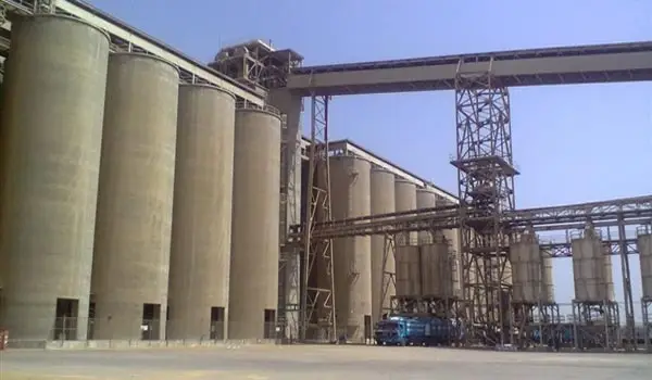 الشركة العامة للصوامع والتخزين تسجل صافي ربح 217.1 مليون جنيه خلال 2024/2025