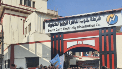 جنوب القاهرة للكهرباء تبدأ اختبارات لاختيار قيادات تجارية جديدة لتطوير الأداء والخدمات