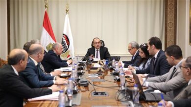 وزير قطاع الأعمال: نظام ERP نقلة نوعية في تطوير وإدارة موارد الشركات القابضة