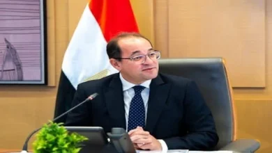 المالية ترفع حد الإعفاء الضريبي إلى 30 مليون جنيه بقرار رسمي