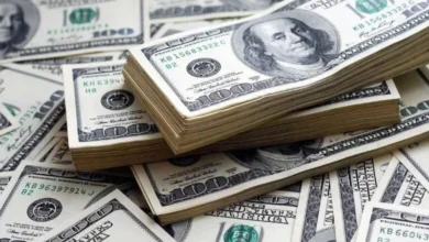 سعر الدولار أمام الجنيه المصري اليوم الإثنين 15 - 12 - 2025