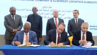مصر وجيبوتي توقعان اتفاقيات استراتيجية لتطوير الموانئ والطاقة واللوجستيات