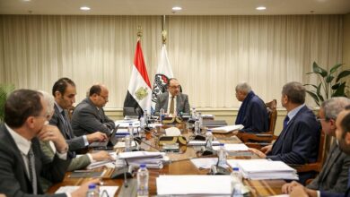 وزير قطاع الأعمال يلتقي مجموعة طلعت مصطفى لمتابعة تطوير المشروعات الفندقية