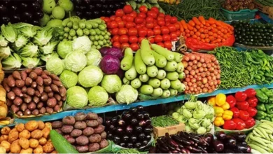 تباين أسعار الخضروات والفاكهة في الأسواق المصرية اليوم مع ثبات بعض الأصناف