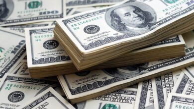 استقرار سعر الدولار أمام الجنيه المصري خلال عطلة الخميس