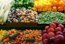 الإمارات تشدد الرقابة على الصادرات الزراعية المصرية والمجلس التصديري يحذر المصدرين