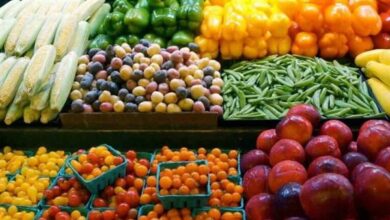 الإمارات تشدد الرقابة على الصادرات الزراعية المصرية والمجلس التصديري يحذر المصدرين