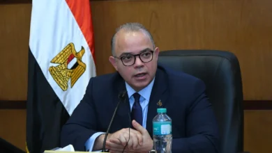 الرقابة المالية توسع مظلة التأمين الرقمي بترخيص شركتين و6 طلبات قيد الفحص