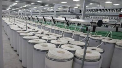 تأجيل دعوى مساهمي بولفارا و28 يناير موعدًا لسداد أمانة الخبير القضائي