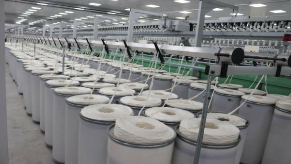 تأجيل دعوى مساهمي بولفارا و28 يناير موعدًا لسداد أمانة الخبير القضائي