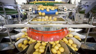 فوديكو تحسم نزاعاً قضائياً وتبرأ ذمتها من مطالبة مالية بمليار جنيه