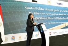 وزيرة التخطيط تعلن استثمارات تتجاوز 600 مليون دولار في مشروع أوبيليسك للطاقة الشمسية بنجع حمادي