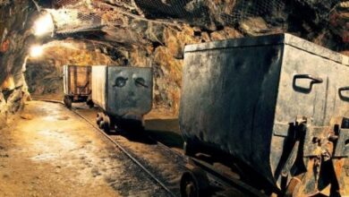 الحديد والصلب للمناجم والمحاجر تسجل مبيعات ديسمبر بـ19.17 مليون جنيهمقدمة في عالم سريع التغير تواجه صناعة التأمين تحديات لم يسبق لها مثيل فالمخاطر التي كانت تقاس بالمخاطر التقليدية مثل الحوادث الطبيعية الحرائق والسرقات لم تعد كافية لفهم التحديات المستقبلية التي تواجه هذا القطاع الحيوي. اليوم، يمتد نطاق المخاطر ليشمل الأخطار التكنولوجية مثل الهجمات الإلكترونية والاحتيال الرقمي، والمخاطر البيئية والمناخية التي تزداد حدة بسبب التغير المناخي، بالإضافة إلى المخاطر الاقتصادية والسياسية العالمية التي تؤثر مباشرة على قدرة الشركات على الاستمرار وتحقيق الاستقرار المالي. وقد أصبح مفهوم مرونة التأمين (Insurance Resilience) عنصرًا أساسيًا لضمان استدامة صناعة التأمين. فالمرونة لا تقتصر على القدرة على التعافي بعد وقوع الأزمات، بل تشمل القدرة على التكيف الاستباقي، الابتكار المستمر، واتخاذ القرارات المبنية على البيانات لتعزيز حماية العملاء وتقليل الخسائر المالية المحتملة. الشركات التي تتمتع بمرونة عالية تستطيع ليس فقط مواجهة الأزمات الحالية، بل توقع المخاطر المستقبلية والتحضير لها قبل حدوثها، مما يجعلها أكثر قدرة على المنافسة والبقاء في الأسواق المتقلبة. تتسم المرونة في التأمين بعدة مستويات: أولها المرونة التشغيلية التي تشمل قدرة الشركة على الحفاظ على خدماتها الأساسية في أوقات الأزمات، وثانيها المرونة المالية التي تعني الاحتفاظ بالقدرة على الوفاء بالتزامات التعويض للعملاء حتى في ظروف غير مستقرة، وثالثها المرونة الاستراتيجية التي تشمل القدرة على التكيف مع تغيرات السوق، الابتكار في المنتجات التأمينية وتبني التكنولوجيا الحديثة لتحسين الأداء وتحقيق ميزة تنافسية. الإطار النظري لمفهوم المرونة في التأمين تعريف المرونة (Resilience) في التأمين المرونة بشكل عام تعني القدرة على الصمود والتكيف مع الصدمات والتقلبات، والتعافي من الأزمات، والحفاظ على الاستمرارية التشغيلية. وفي سياق التأمين، تُعرف مرونة التأمين بأنها القدرة التي تتمتع بها شركات التأمين على: الاستجابة السريعة للمخاطر والأزمات. تقليل الخسائر المالية وتأثيرها على الميزانية التشغيلية. الحفاظ على الثقة مع العملاء والمستثمرين. التكيف مع التغيرات في السوق واللوائح التنظيمية. و لا تقتصر المرونة في التأمين على القدرة على التعويض بعد وقوع الخسائر، بل تشمل تقييم المخاطر بشكل استباقي، تعديل السياسات التأمينية، وتطوير المنتجات بما يتوافق مع المخاطر المستقبلية. تطور مفهوم المرونة في صناعة التأمين على مدار العقود الماضية، كان التركيز في التأمين التقليدي على تجنب المخاطر والتعويض عن الخسائر بعد وقوعها. ومع تعقد بيئات الأعمال وظهور مخاطر جديدة مثل الهجمات الإلكترونية والكوارث الطبيعية غير المسبوقة، أصبح التركيز على المرونة الاستباقية ضرورة استراتيجية. في العقود الأولى، كانت المرونة تقتصر على وجود احتياطيات مالية قوية لضمان قدرة الشركة على الوفاء بالتزاماتها. مع ظهور التأمين الحديث، بدأت شركات التأمين تعتمد تحليلات المخاطر الدقيقة والتكنولوجيا الحديثة لتوقّع الأحداث وتقليل أثرها على العمليات. واليوم، يشمل مفهوم المرونة أيضًا الابتكار في المنتجات، الاستجابة السريعة لتغيرات السوق، وتعزيز تجربة العملاء لضمان الولاء والثقة. عناصر المرونة في صناعة التأمين: هناك أربعة مجالات رئيسية يجب على القيادات التنفيذية في شركات التأمين التركيز عليها لتعزيز مرونة شركاتهم وقدرتها على التكيف مع المتغيرات: 1. المرونة التشغيلية تواجه شركات التأمين ضغوطًا متزايدة نتيجة اشتداد المنافسة، وارتفاع تكاليف التشغيل، وتغير توقعات العملاء، إلى جانب تطور طبيعة المخاطر. ولمواجهة هذه التحديات، يصبح من الضروري تحسين الكفاءة التشغيلية وخفض التكاليف على المدى الطويل من خلال تحديث العمليات واستخدام التكنولوجيا الحديثة. ويساعد الجمع بين الخبرة البشرية والتكنولوجيا، مثل الأتمتة والذكاء الاصطناعي وتحليل البيانات، على تحسين الأداء ورفع إنتاجية الموظفين. كما تتطلب المرونة التشغيلية تعزيز مرونة سلاسل التوريد، وترشيد الإنفاق، وتحسين الإنتاجية. ويمكن لشركات التأمين الاستفادة من توزيع بعض الأنشطة والموارد على مواقع جغرافية مختلفة للوصول إلى خبرات متخصصة بتكلفة أقل. بالإضافة إلى ذلك، تسهم نماذج التوزيع الحديثة، مثل التأمين المدمج، في تسهيل وصول العملاء إلى المنتجات التأمينية، من خلال إتاحة شراء التغطية التأمينية مباشرة عبر منصات التجارة الإلكترونية أو السفر دون إجراءات معقدة. 2. المرونة التجارية تحتاج شركات التأمين إلى استراتيجيات مرنة في التسعير والتسويق تساعدها على التعامل مع حالة عدم اليقين الاقتصادي. ويشمل ذلك اتخاذ قرارات متوازنة بشأن التكاليف التي تتحملها الشركات وتلك التي تُحمّل على العملاء، خاصة في ظل ارتفاع تكاليف المطالبات وأسعار التأمين في بعض الفروع مثل تأمين السيارات والمنازل. ومن خلال التركيز على فهم احتياجات العملاء وسلوكهم، وتقديم منتجات مبتكرة تلائم هذه الاحتياجات، يمكن لشركات التأمين تجاوز النماذج التقليدية وتحقيق نمو مستدام وربحي حتى في فترات التباطؤ الاقتصادي. 3. المرونة التقنية تعتمد الشركات الأكثر نجاحًا على الاستثمار في التكنولوجيا، خاصة في مجالات الأمن السيبراني والذكاء الاصطناعي وإدارة البيانات. ويساعد الذكاء الاصطناعي على رفع كفاءة العمل وتحسين متابعة البيانات واكتشاف المخاطر في وقت مبكر، إلى جانب دعم اتخاذ القرار. كما يمكن لتحليل البيانات المتقدمة تحسين تجربة العملاء من خلال فهم أنماط تفاعلهم وتوقع احتياجاتهم بشكل أفضل. ولتحقيق ذلك، تحتاج شركات التأمين إلى بنية رقمية آمنة وقابلة للتطوير، مدعومة بأنظمة سحابية حديثة وبيئة متكاملة لإدارة البيانات. 4. مرونة الموارد البشرية تظل الكوادر البشرية العنصر الأهم في بناء المرونة، فالتكنولوجيا وحدها لا تكفي دون موظفين قادرين على استخدامها بفعالية. ولذلك يجب على شركات التأمين تبني سياسات توظيف وتطوير مهني تركز على التعلم المستمر وتنمية المهارات، خاصة في ظل اقتراب عدد كبير من العاملين من سن التقاعد. كما يتعين تعزيز قيمة العمل في قطاع التأمين باعتباره قطاعًا ذا دور مجتمعي وتنموي، وليس مجرد وظائف تقليدية. ويمكن الاستفادة من الذكاء الاصطناعي في تحديد فجوات المهارات ومساعدة الموظفين على تطوير قدراتهم الرقمية، بما يتيح لهم التركيز على المهام الأكثر قيمة بدلًا من الأعمال الروتينية، ويدعم في الوقت نفسه استقطاب مواهب جديدة من خلفيات متنوعة. أهمية المرونة في إدارة المخاطر المرونة في التأمين وإدارة المخاطر وجهان لعملة واحدة، حيث: تساعد إدارة المخاطر على تحديد وتقييم المخاطر قبل وقوعها. تمكّن المرونة الشركة من التكيف والتعامل مع المخاطر غير المتوقعة بشكل سريع وفعال. ومن الأمثلة على هذه العلاقة: تستطيع شركات التأمين التي تستخدم البيانات الضخمة لتقييم المخاطر السيبرانية أن تقلل من الخسائر بشكل كبير عند وقوع الهجمات الإلكترونية. تعتمد شركات التأمين ضد مخاطر المناخ على أنظمة تنبؤ دقيقة لمواجهة الكوارث الطبيعية، مما يجعلها أكثر قدرة على الوفاء بالتزاماتها تجاه العملاء. أهمية المرونة في تعزيز استقرار شركات التأمين لا تساهم المرونة فقط في التعافي بعد الأزمات، بل إن لها تأثير مباشر على: ثقة العملاء : حيث يميل العملاء إلى البقاء مع شركات يمكنها التعامل مع الأزمات بفعالية. استقرار السوق: تقلل الشركات المرنة من احتمالات فشل السوق أو انهيار مؤسسات التأمين. الابتكار المستمر: تشجع المرونة على تطوير منتجات وخدمات جديدة تتوافق مع المخاطر المستقبلية، مما يزيد من القدرة التنافسية. المخاطر المستقبلية وتأثيرها على التأمين المخاطر المناخية والبيئية تزايدت الكوارث الطبيعية مثل الفيضانات، الأعاصير، الجفاف، وحرائق الغابات في السنوات الأخيرة، مما يشكل تهديدًا مباشرًا لصناعة التأمين، لذا: تحتاج شركات التأمين إلى تحديث نماذج تقييم المخاطر لمواكبة التغيرات المناخية. أصبح ظهور منتجات تأمين متخصصة مثل تأمين الكوارث الطبيعية المناخية ضرورة، وليس رفاهية. تساعد الاستثمارات في تقنيات التنبؤ المناخي وتحليل البيانات البيئية، على التخفيف من الخسائر وتحسين سرعة الاستجابة. مثال: تعتمد شركات التأمين في اليابان والولايات المتحدة على أنظمة تنبؤ دقيقة للأعاصير والفيضانات لتحديد أسعار وثائق التأمين، مما يقلل الخسائر المحتملة ويزيد من قدرة الشركة على التعويض بسرعة. المخاطر التكنولوجية مع الاعتماد المتزايد على الأنظمة الرقمية، أصبحت الهجمات الإلكترونية والاحتيال الرقمي تهديدًا رئيسيًا لشركات التأمين وعملائها لذا: تحتاج الشركات إلى تطوير منتجات تأمين سيبراني تحمي العملاء من الخسائر الناتجة عن الاختراقات والهجمات الإلكترونية. يساعد تحليل البيانات الضخمة والذكاء الاصطناعي في توقع الهجمات وتحديد الثغرات قبل استغلالها. تعني المرونة في هذا السياق القدرة على استعادة البيانات وخدمات العملاء بسرعة بعد وقوع الهجمات. تأثير التأمين: أصبح تأمين الهجمات السيبرانية جزءًا لا يتجزأ من محافظ التأمين الحديثة، ويعكس مدى قدرة شركات التأمين على مواجهة المخاطر الرقمية وحماية سمعتها المالية. المخاطر الاقتصادية العالمية تشمل هذه المخاطر التغيرات المفاجئة في أسعار الفائدة، تقلبات العملات، التضخم، والانكماش الاقتصادي، وهي تؤثر بشكل مباشر على قدرة شركات التأمين على الاستمرار. لذا: تحتاج شركات التأمين إلى نماذج مالية مرنة للتعامل مع صدمات السوق وتقلبات الاستثمار. كما تحتاج إلى تطوير منتجات تأمين مرتبطة بالاقتصاد الكلي مثل التأمين ضد المخاطر الاقتصادية للشركات ،مما يعزز من قدرة الشركات على التكيف. تساعد المرونة المالية على الاستجابة للتقلبات الاقتصادية دون المساس بالقدرة على تعويض العملاء. المخاطر الصحية والجائحة أظهرت جائحة كورونا أهمية الاستعداد لمخاطر صحية غير متوقعة، والتي يمكن أن تؤثر على جميع جوانب الحياة والاقتصاد. شركات التأمين بحاجة إلى تصميم منتجات تغطي المخاطر الصحية العالمية، بما في ذلك التأمين الصحي للأوبئة والجائحة. أدى استخدام التكنولوجيا في تحليل البيانات الصحية والتنبؤ بانتشار الوباء إلى مساعدة الشركات على تخطيط التعويضات وتحديد الأسعار بكفاءة. شملت المرونة في هذا المجال القدرة على توسيع نطاق التغطية بسرعة لمواجهة حالات الطوارئ الصحية. المخاطر الاجتماعية والسياسية يمكن للتغيرات السياسية، الاضطرابات الاجتماعية، و القوانين الجديدة أن تؤثر بشكل كبير على صناعة التأمين. لذا: فقد أصبح التأمين ضد المخاطر السياسية جزءًا مهمًا في محافظ التأمين الدولية، خاصة للشركات التي تعمل عبر الحدود. تشمل المرونة القدرة على سرعة التكيف مع اللوائح الجديدة وضمان استمرارية العمليات في البيئات المتقلبة. دور البيانات والأنظمة الذكية في مواجهة المخاطر. نظم الإنذار المبكر تلعب أنظمة الإنذار المبكر دورًا حيويًا في تعزيز مرونة التأمين: يمكنها تحديد المخاطر قبل وقوعها، مثل الفيضانات، الأعاصير، أو الحرائق. تمكّن الشركات من إبلاغ العملاء بشكل مسبق، تحريك الموارد، واتخاذ إجراءات وقائية. تحسين الاستجابة يقلل من حجم الخسائر ويزيد من سرعة التعويض. دمج البيانات لتحسين استجابة التأمين يساعد دمج البيانات من مصادر متعددة على تحليل المخاطر التي تواجه الشركات بشكل شامل: تستخدم بيانات المناخ، البيانات الاقتصادية، بيانات العملاء، والسجلات التاريخية لتقييم المخاطر بدقة أكبر. تستطيع الشركات من خلال دمج البيانات تصميم وثائق تأمين تتكيف مع المخاطر المستقبلية. ويمكن أن يساعد التحليل المتقدم للبيانات في الكشف عن الأنماط غير الطبيعية التي تشير إلى الاحتيال. حماية البيانات وأمن المعلومات مع زيادة الاعتماد على البيانات والأنظمة الذكية، يصبح أمن المعلومات وحماية البيانات الشخصية أولوية قصوى لذا: يجب على شركات التأمين تشفير البيانات وتأمينها ضد الاختراقات. وضع سياسات واضحة للاستخدام العادل للبيانات والامتثال للقوانين المحلية والدولية. حماية البيانات للحفاظ على ثقة العملاء واستقرار العمليات. استراتيجيات ابتكارية لتعزيز مرونة التأمين مستقبلًا الابتكار في المنتجات التأمينية تصميم منتجات تأمينية مرنة وقابلة للتكيف مع المخاطر المستقبلية. تقديم حلول مثل التأمين المبني على الاستخدام (Usage-Based Insurance) الذي يعتمد على سلوك العميل الفعلي، مثل التأمين على السيارات أو الصحة. تطوير منتجات تغطية متعددة المخاطر تجمع بين المخاطر المناخية، السيبرانية، والصحية في وثيقة واحدة. النتيجة: تلبية احتياجات العملاء المتغيرة، وتحقيق ميزة تنافسية للشركات المرنة. دمج التكنولوجيا المتقدمة استخدام الذكاء الاصطناعي وتحليل البيانات لتوقع المخاطر وتحسين اتخاذ القرار. اعتماد البلوكتشين لضمان شفافية العقود، تقليل الاحتيال، وتحسين سرعة معالجة المطالبات. تطبيق إنترنت الأشياء (IoT) لمراقبة المخاطر آنياً، مثل الحرائق، التسربات، أو الأنشطة الصحية. النتيجة: تقليل الخسائر، تحسين سرعة الاستجابة، وتعزيز الثقة مع العملاء. تطوير النماذج المالية المرنة إنشاء نظم مالية مرنة تسمح بتحمل الصدمات الاقتصادية المفاجئة، مثل تقلبات أسعار الفائدة أو التضخم. استخدام تحليلات المخاطر الاقتصادية لتخطيط الاستثمارات والتعويضات بشكل استباقي. تطبيق استراتيجيات إعادة التأمين الديناميكية لمواجهة المخاطر الكبيرة والمعقدة. النتيجة: حماية رأس المال وضمان القدرة على الوفاء بالتزامات التعويض حتى في أصعب الظروف الاقتصادية. تعزيز التعاون والشراكات التعاون بين شركات التأمين المحلية والعالمية لتبادل الخبرات والتقنيات الحديثة. الشراكات مع الهيئات الحكومية والمنظمات الدولية لتحسين استجابة القطاع للكوارث الطبيعية والأزمات الصحية. تطوير شبكات استشارية مشتركة لتقييم المخاطر والتخطيط الاستراتيجي على مستوى المنطقة. النتيجة: زيادة جاهزية القطاع، تبادل أفضل الممارسات، وتعزيز القدرة على مواجهة المخاطر الكبرى. التركيز على العملاء والمرونة المؤسسية تصميم وثائق تأمين تركز على احتياجات العملاء المتغيرة، مع مرونة في تعديل التغطية التأمينية بسرعة. تعزيز ثقافة الابتكار داخل الشركة لضمان استجابة فعالة وسريعة لأي تغيرات في البيئة التأمينية. الاستثمار في تدريب الموظفين وتطوير مهاراتهم في إدارة المخاطر والتكنولوجيا الحديثة. نتيجة: تحسين تجربة العملاء، زيادة رضاهم، وتعزيز مرونة الشركات على المستوى المؤسسي رأي اتحاد شركات التأمين المصرية في عالمٍ لم تعد فيه المخاطر معزولة أو قابلة للتنبؤ، باتت المرونة المعيارَ الأساسي لقوة المؤسسات والفرصةَ الأبرز لشركات التأمين. يكمن مستقبل هذا القطاع في مساعدة العملاء على مواصلة أعمالهم بأمان وثقة قبل وقوع أي مشكلات. هذا المستقبل مبني على المرونة، والمرونة بدورها مبنية على التكنولوجيا. وشركات التأمين التي تتبنى هذا التحول لن تكتفي بتقليل الخسائر فحسب، بل ستقود القطاع إلى عصر جديد من إدارة المخاطر الذكية والوقائية والقائمة على القيمة. و يؤكد اتحاد شركات التأمين المصرية على أن المرونة تشكل مستقبل هذه الصناعة في مصر والعالم، وأن التكيّف السريع مع المتغيرات الاقتصادية والتكنولوجية أصبح أحد أبرز مقومات الاستدامة والقدرة التنافسية. ويرى الاتحاد أن: الاستثمار في التكنولوجيا والبيانات الضخمة ضرورة استراتيجية لدعم تقييم وإدارة المخاطر بكفاءة أعلى. تنمية الكفاءات البشرية وتعزيز مهارات القائمين على صناعة التأمين في مصر يعتبر أحد ركائز بناء المرونة، لا سيما في مجالات التحليل والتكنولوجيا المالية. تشجيع ثقافة الابتكار والتعاون بين أعضاء السوق يسهم في تصميم منتجات تأمينية مرنة تلبي احتياجات العملاء المتغيرة وتستجيب للصدمات. وفي ضوء ذلك، يدعو الاتحاد شركات التأمين العاملة إلى تبني سياسات مرنة والاستثمار في القدرات المؤسسية التي تعزّز من مرونة القطاع وقدرته على مواجهة تحديات المستقبل. وختاماً، يمكن القول أن المرونة هي مفتاح المستقبل فهي ليست خياراً ، بل ضرورة للبقاء والتنافس في صناعة تعتمد بشكل متزايد على استباق المخاطر ومعالجة التحديات بسرعة وفعالية. فالشركات التي تبني مرونة قوية في بنيتها التشغيلية، المالية والتكنولوجية ستكون في صدارة المنافسة. المصادر https://insurance-edge.net/2026/01/29/resilience-is-the-new-insurance/#:~:text=In%20a%20world%20where%20risks,Related https://www.aon.com/en/insights/articles/how-insurers-are-turning-risk-exposure-into-resilience-advantage https://insuranceblog.accenture.com/four-key-ways-insurers-build-resilience https://www.oliverwyman.com/our-expertise/insights/2023/dec/how-the-insurance-industry-can-build-climate-resilience.html https://www.cepweb.org/from-risk-to-resilience-closing-the-climate-insurance-protection-gap/ https://knowledgehub.resqore.com/business/insuring-resilience-the-role-of-insurance-industry-in-disaster-preparedness-and-recovery/ https://www.cgap.org/blog/protection-to-resilience-rethinking-insurance-for-all