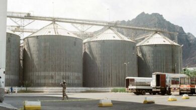 أرباح العامة للصوامع والتخزين ترتفع 15% خلال أول 7 أشهر من العام المالي الجاري