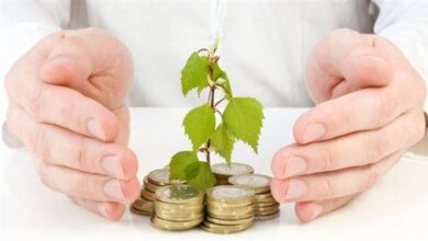 التأمين متناهي الصغر يحمي المشروعات الصغيرة ويضمن استمراريتها