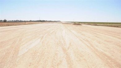 شركة التعمير والاستشارات الهندسية