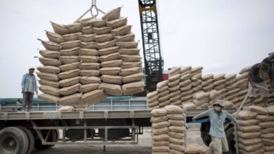 أسمنت سيناء توافق على تخفيض رأس المال وتشكيل مجلس إدارة جديد