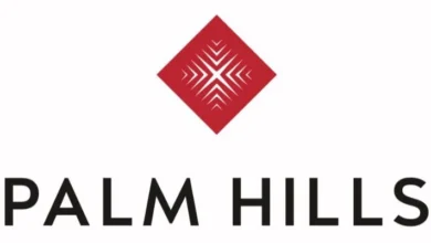 بالم هيلز تحقق مبيعات قياسية بـ215 مليار جنيه في 2025