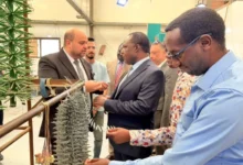 أحمد الحسيني الألماني: مدينة الجلود تعزز تنافسية المنتج المصري وتدعم فرص النمو