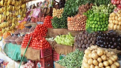 تراجع جماعي في أسعار الخضراوات بأسواق الجملة والباذنجان والفلفل يتصدران الانخفاض