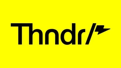 ثاندر تتصدر شركات السمسرة في البورصة المصرية وسط منافسة قوية على صدارة التداولات