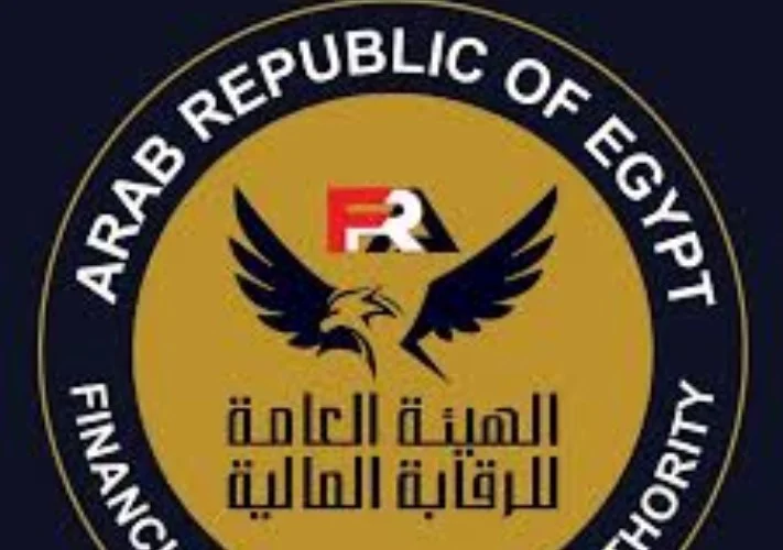 قفزة استثمارية لصناديق التأمين الخاصة تعزز دورها في دعم الاقتصاد خلال يناير 2026