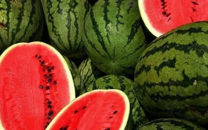 نقيب الفلاحين يكشف أسباب ارتفاع أسعار البطيخ في الأسواق