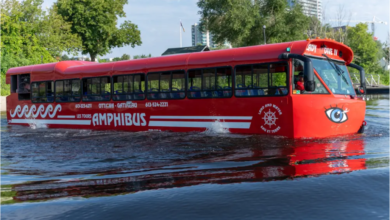 الإطار الفني لتأمين المركبات البرمائية تحديات معقدة تفرض معايير اكتتاب وتسعير دقيقة