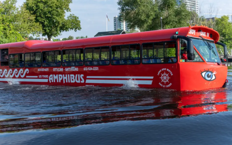 الإطار الفني لتأمين المركبات البرمائية تحديات معقدة تفرض معايير اكتتاب وتسعير دقيقة