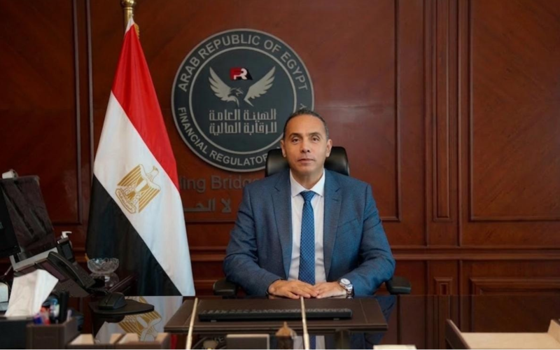 انضمام رئيس الرقابة المالية لعضوية المجموعة الوزارية الاقتصادية بقرار من رئيس الوزراء