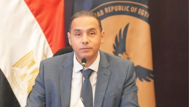 الرقابة المالية تصدر قرارًا جديدًا لتنظيم الخبرة الاكتوارية وتطوير قطاع التأمين في مصر