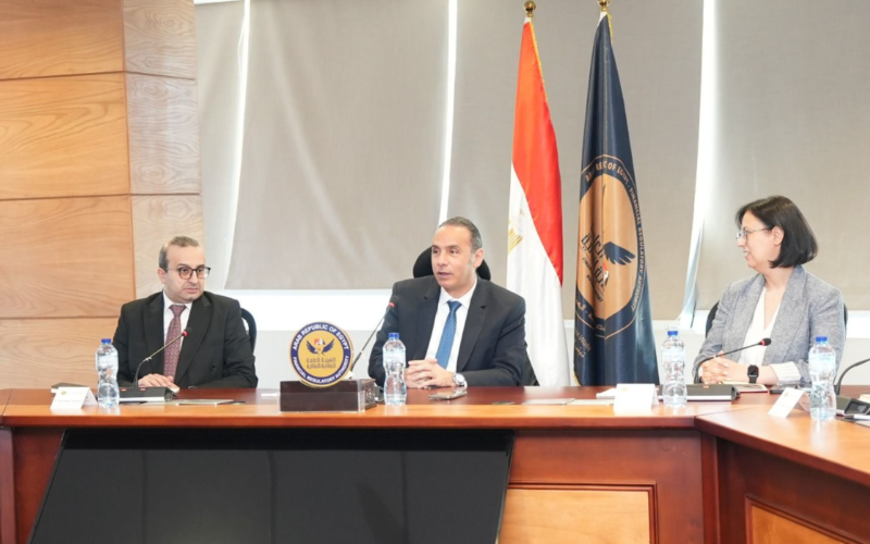 الرقابة المالية تبحث مع هيئة الأمم المتحدة للمرأة تعزيز التمكين الاقتصادي للسيدات في القطاع غير المصرفي
