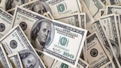 سعر الدولار أمام الجنيه الثلاثاء 26 مايو 2026 يشهد استقرارًا في البنوك المصرية
