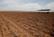التأمين البارامتري يتصدر أدوات مواجهة الكوارث المناخية عالمياً
