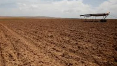 التأمين البارامتري يتصدر أدوات مواجهة الكوارث المناخية عالمياً