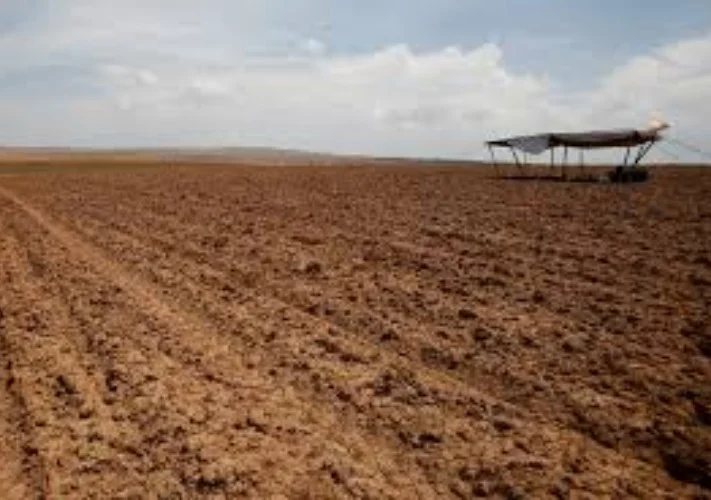 التأمين البارامتري يتصدر أدوات مواجهة الكوارث المناخية عالمياً