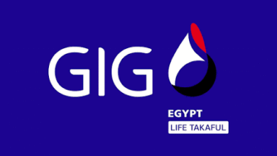 GIG Egypt تحقق 1.09 مليار جنيه صافي أرباح خلال 2025 وتقر زيادة رأس المال إلى 800 مليون جنيه
